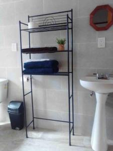 Baño con estante junto a un lavabo en Confortable Apartmento, en Guanajuato