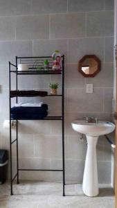 baño con lavabo y estante junto a un lavabo en Confortable Apartmento, en Guanajuato