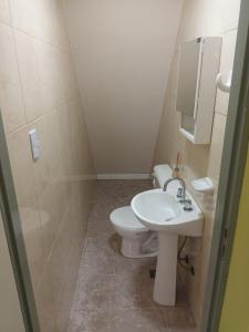 a bathroom with a toilet and a sink at Lo de fernando 4 in Río Gallegos