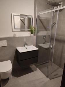 Koupelna v ubytování Monteurzimmer - Karlsbad