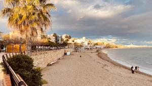 a beach with a palm tree and the ocean w obiekcie Benalmadena ,apartamento-Estudio primera Línea de Playa w mieście Benalmádena