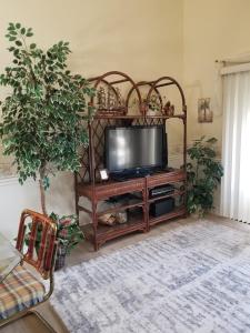 uma televisão num suporte de madeira numa sala de estar em Island Life em Saint Augustine Beach