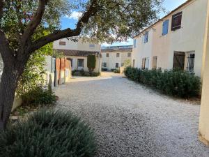 a courtyard with a tree and a building at Maison avec jardin in Le Grau-du-Roi