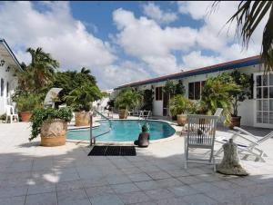 una piscina con una silla y un edificio en Palmita Hostel, en Oranjestad
