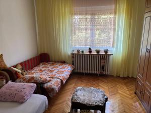 a living room with a bed and a window at Kobran in Kuršumlija