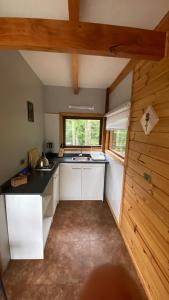 a kitchen with a counter and a sink in a room at Cabañas Flor de Conquil in Villarrica