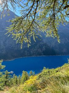 Φωτογραφία από το άλμπουμ του La Baita σε Bionaz