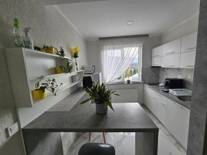 uma cozinha com armários brancos e uma mesa com uma planta em Pensiunea Roberto em Sovata