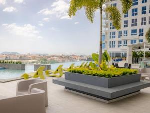 eine Terrasse mit Stühlen und einer Palme auf einem Gebäude in der Unterkunft Luxury living and Pacific Views in Panama-Stadt
