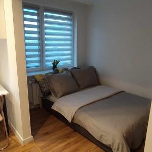 1 cama en una habitación con ventana en Apartament na Krakowskiej 15, en Dębica