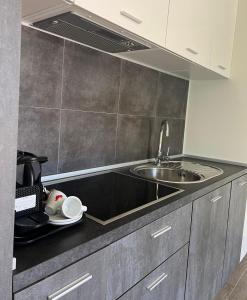 uma cozinha com um lavatório e uma bancada em Dalmaris camp - prestige mobile homes Biograd na Moru em Biograd na Moru
