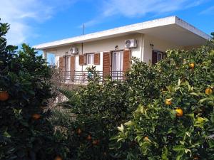 ナフプリオにあるSerene Country House (near Ancient Tiryns)の目の前にオレンジの木が植えられた家