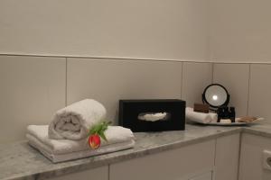 a bathroom with towels and a mirror on a counter at City-Appartement Pirna in Pirna