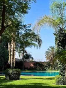 un jardin avec une piscine et des palmiers dans l'établissement appartement luxueux /confort , l’hivernage(Guéliz) au cœur de Marrakech, à Marrakech