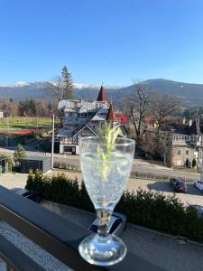 Afbeelding uit fotogalerij van Apartament Szrenica View in Szklarska Poręba