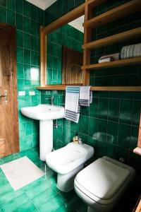 ein grün gefliestes Bad mit einem WC und einem Waschbecken in der Unterkunft Reddish Deer House ::: Cadore Dolomiti in Valle di Cadore