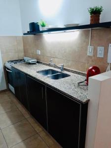 - une cuisine avec un évier et un comptoir dans l'établissement 9 de Julio Apart, à Concepción del Uruguay