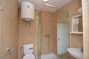 a bathroom with a shower and a toilet and a sink at Вилла Natalia in Krašići +100 photos