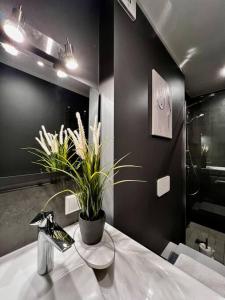 een badkamer met een wastafel en een badkamer met een douche bij Seashell Albatross Boutique Apartment in Ķesterciems