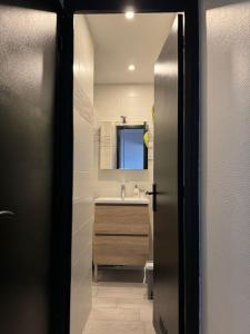 La salle de bains est pourvue d'un lavabo et d'un miroir. dans l'établissement Appartement proche Grenoble centre et campus, à Saint-Martin-dʼHères