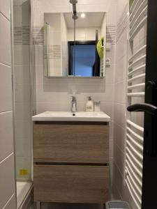 een badkamer met een wastafel en een spiegel bij Appartement proche Grenoble centre et campus in Saint-Martin-dʼHères +21 foto's