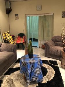 a living room with a couch and a cactus on a table at Room in Guest room - Logerthine Cambridge Suriname in Paramaribo