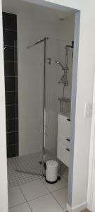 アラドンにあるAu Bord du Golfe du Morbihanのシャワーとトイレ付きのバスルーム
