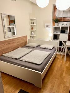 ein Schlafzimmer mit einem Bett in einem Zimmer in der Unterkunft Mini Studio in Čakovec