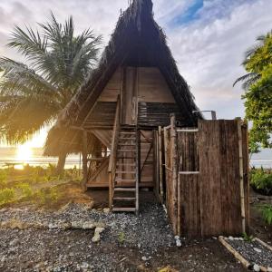 eine Hütte am Strand mit einer Palme in der Unterkunft Chowa lodge in Nuquí