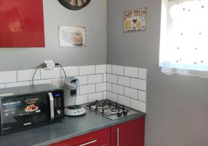 a kitchen with a stove and a microwave at studio avec terrasse "Le Loup" in Lamotte-Beuvron