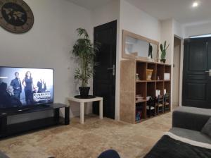 een woonkamer met een tv en een potplant bij résidence luxe césar aeroport tillé 7 personnes in Tillé