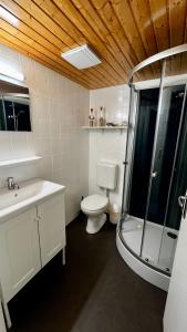 La salle de bains est pourvue de toilettes, d'un lavabo et d'une douche. dans l'établissement Bungalow zur Kühlung, à Kühlungsborn