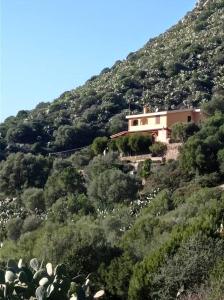 een huis aan de zijkant van een berg bij Vill'e Tina in Torre delle Stelle