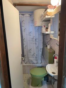 een badkamer met een groen toilet en een wastafel bij Apartman Delfin in Grahovište