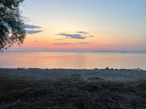 ヘーヒストにあるRuhige schöne 2-Zimmer Ferienwohnungの夕暮れ時の海岸の鳥の群れ +12枚の写真