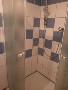 a shower with a glass door in a bathroom at Penzion Albatros in Český Krumlov