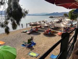 Φυσικό τοπίο κοντά σε αυτό το διαμέρισμα +12 φωτογραφίες