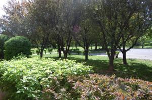 a group of trees in a park with flowers at Apartament Centralny in Warsaw