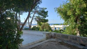 Příroda nedaleko prázdninového domu + 20 fotografií