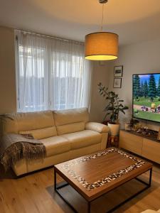 ein Wohnzimmer mit einem Sofa und einem Couchtisch in der Unterkunft Großes & Modernes Ferienhaus 2 Minuten von Meersburg Innenstadt in Meersburg