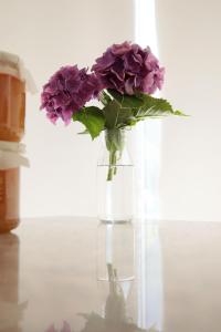 a vase filled with purple flowers sitting on a table at Residence Gonda&Giuliano in Borso del Grappa +112 photos