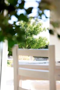 a white bench in front of a tree at Residence Gonda&Giuliano in Borso del Grappa