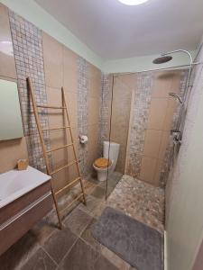 uma casa de banho com um chuveiro, um WC e um lavatório. em Bourbon Horizon em La Possession