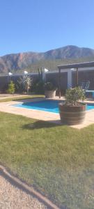 a swimming pool with potted plants in a yard at Karoo Magic in Calitzdorp