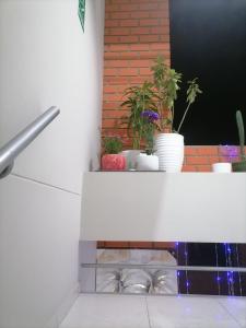 Galeriebild der Unterkunft Hostal Terraoro in Lambayeque + 32 Fotos