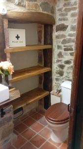 a bathroom with a toilet in a stone wall at La Casina de Asturias in Mieres