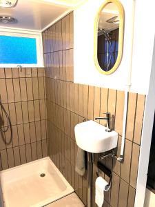 een badkamer met een wastafel en een spiegel bij Natuurhuisje Veluwe met houtkachel en pizzaoven in Ermelo