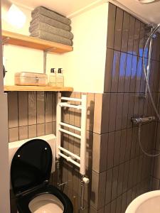 een badkamer met een toilet en een zwart betegelde muur bij Natuurhuisje Veluwe met houtkachel en pizzaoven in Ermelo