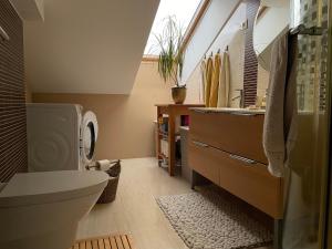 ein Bad mit einem WC und einem Waschbecken in der Unterkunft Natasha's Blue Sky with Cosy Terrace in Ljubljana