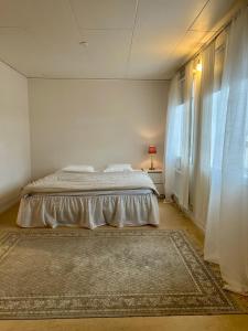 1 dormitorio con cama y alfombra grande en Central lägenhet, en Norrtälje